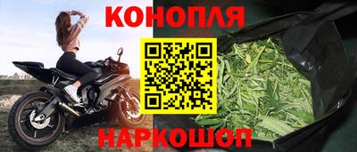 прущие грибы Будённовск