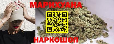 прущие грибы Будённовск