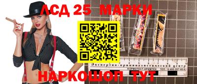 прущие грибы Будённовск