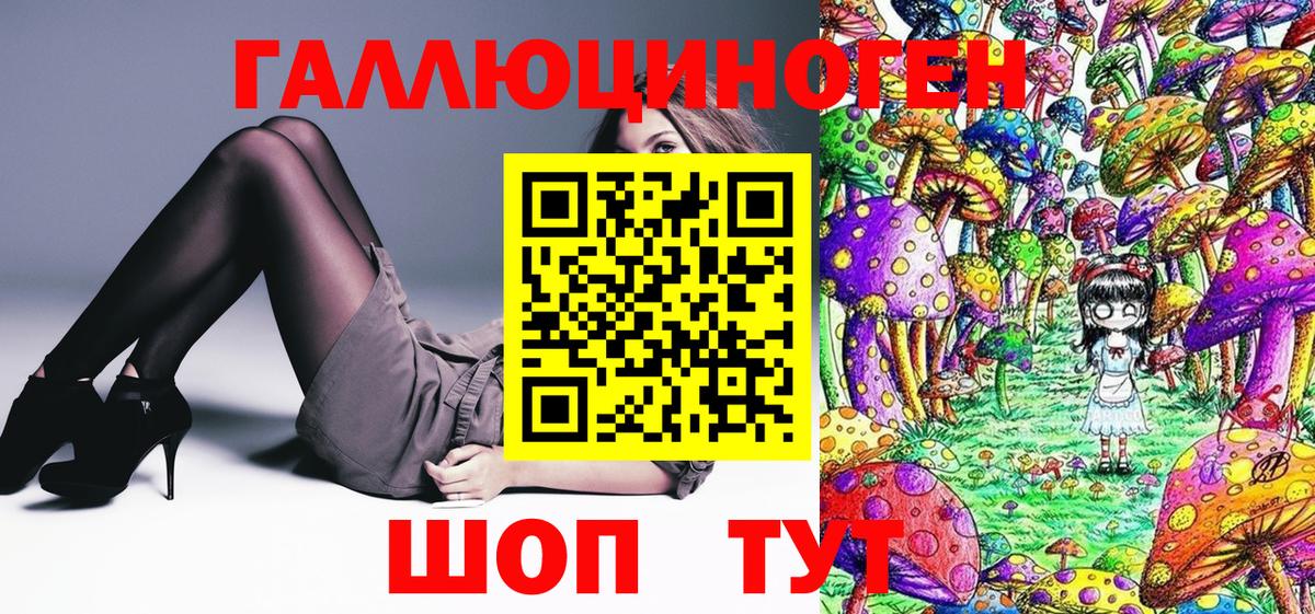 Псилоцибиновые грибы Psilocybine cubensis Чехов